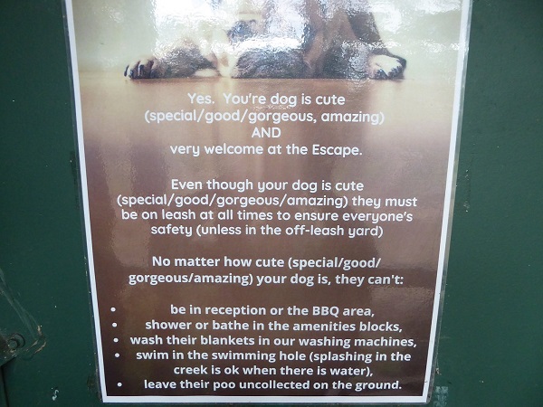 dog-friendly-camp-grounds-pet-policy