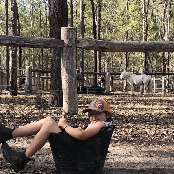 camping with horses