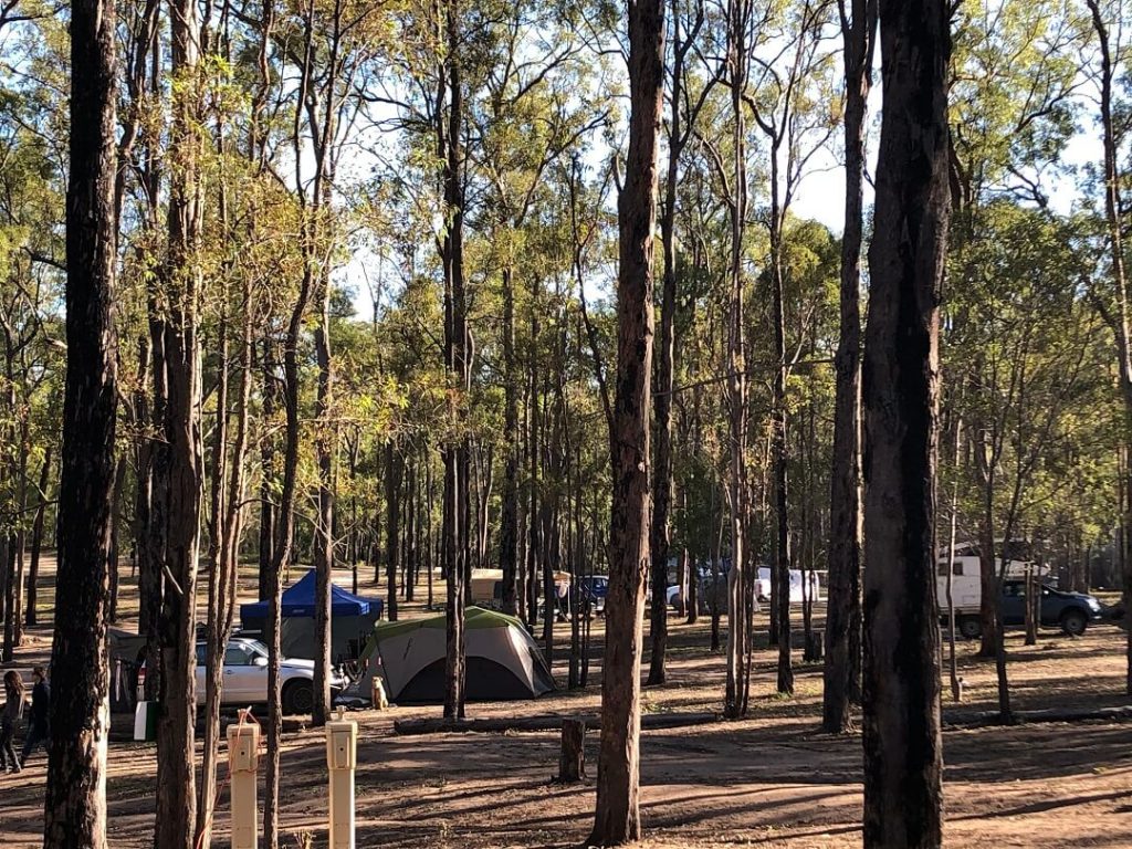 safari tent camping qld