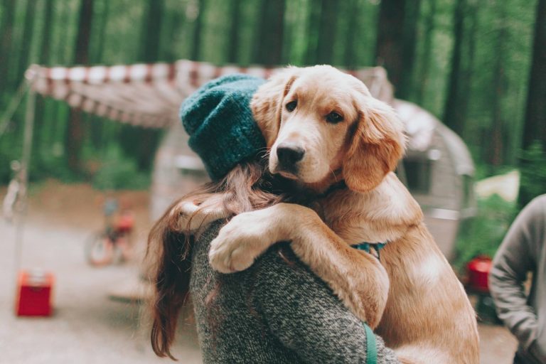 camping with dogs near Brisbane