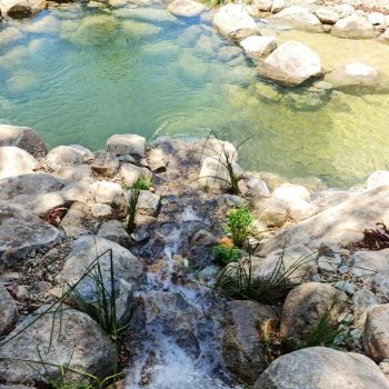 brand new eco billabong at murphys creek escape waterfall view