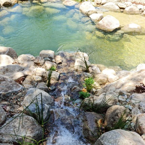 brand new eco billabong at murphys creek escape waterfall view