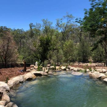 swim and camp near toowoomba qld