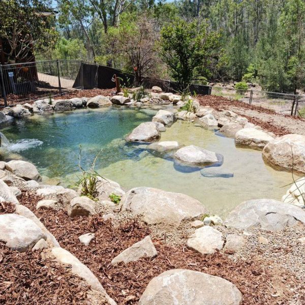 eco billabong camp grounds murphys creek toowoomba