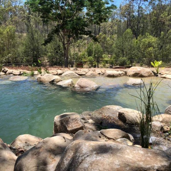 swim and camp near brisbane qld