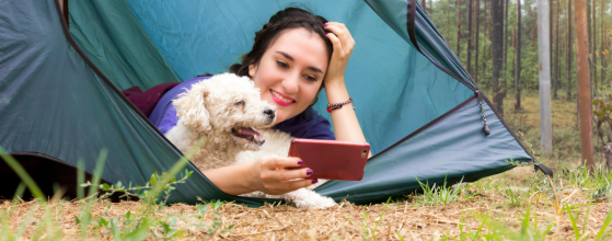 Pet Friendly Bush Camping Tips