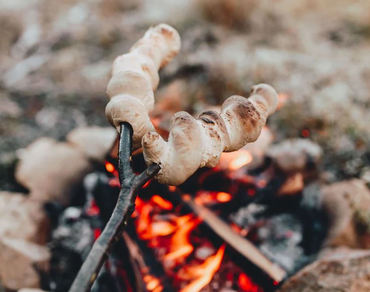campfire damper recipe