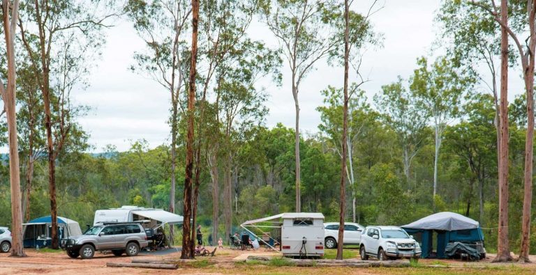 1.1-bush-camping-near-brisbane