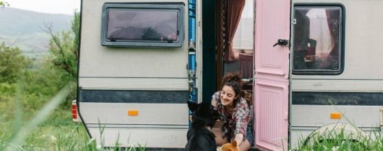 Van camping with your dog