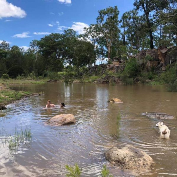 swimming-creek-camping-lockyer-valley