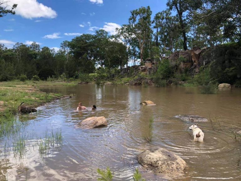 swimming-creek-camping-lockyer-valley