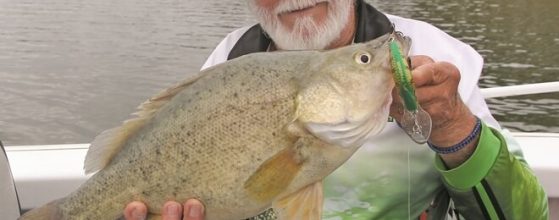 fishing lockyer valley