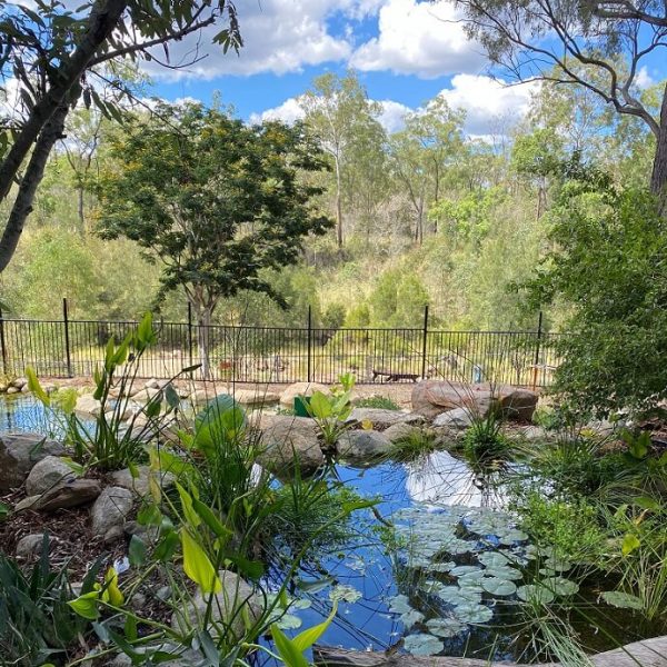 eco-pool-nature-retreat-queensland-murphys-creek-escape