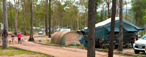 new-years-camping-qld-murphys-creek-escape