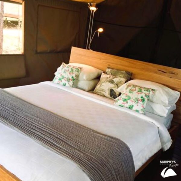 mindfulness-camping