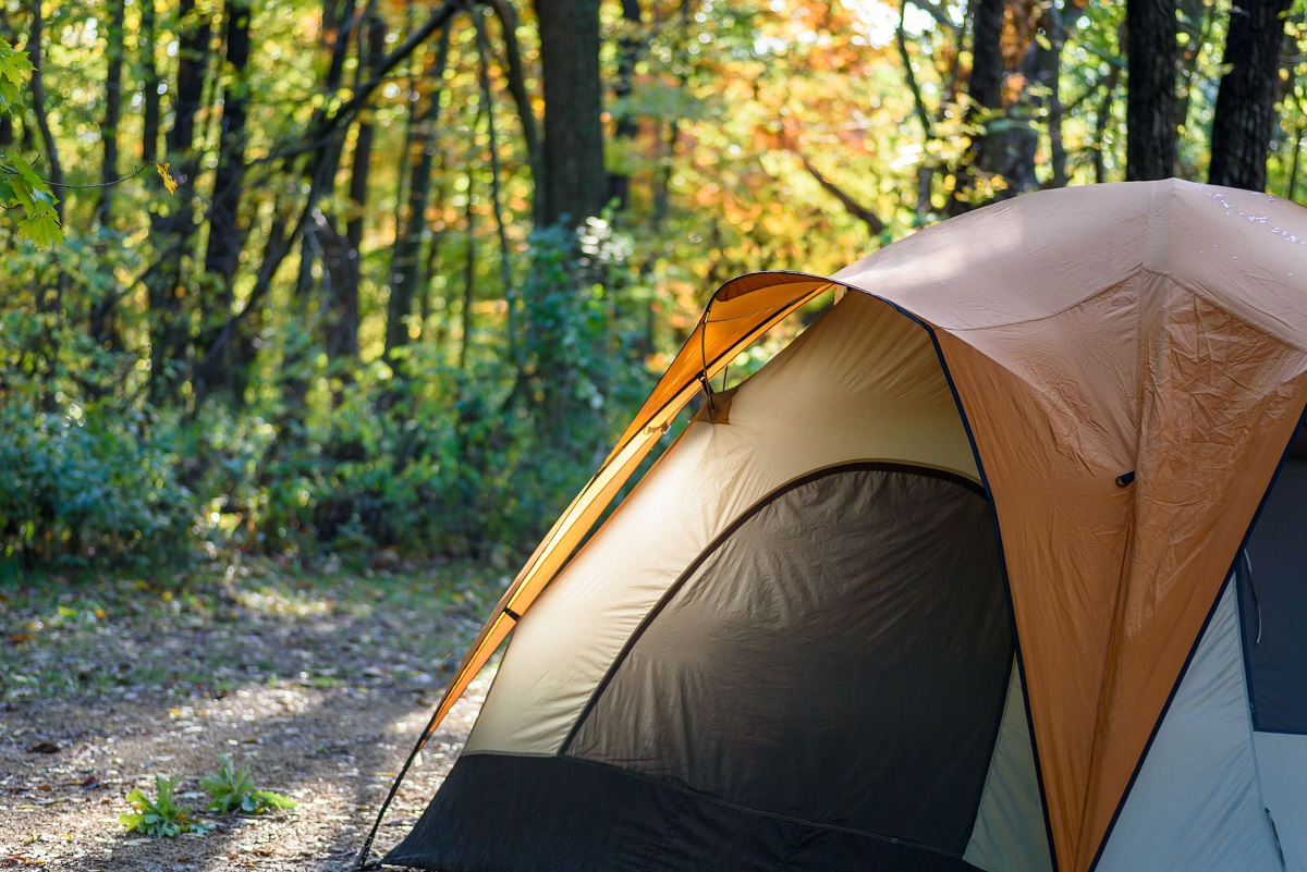 Solo Camping for Personal Reflection and Growth at Murphys Creek Escape