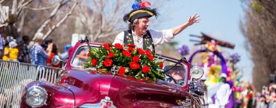 carnival-of-flowers-accommodation-nearby-muphys-creek-escape-1