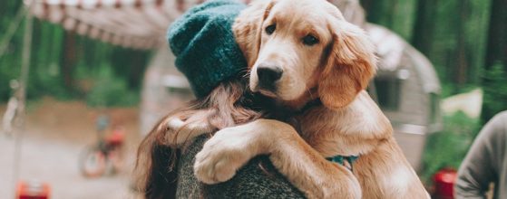 dog-friendly-camp-grounds-near-Toowoomba-Murphys-Creek-Escape