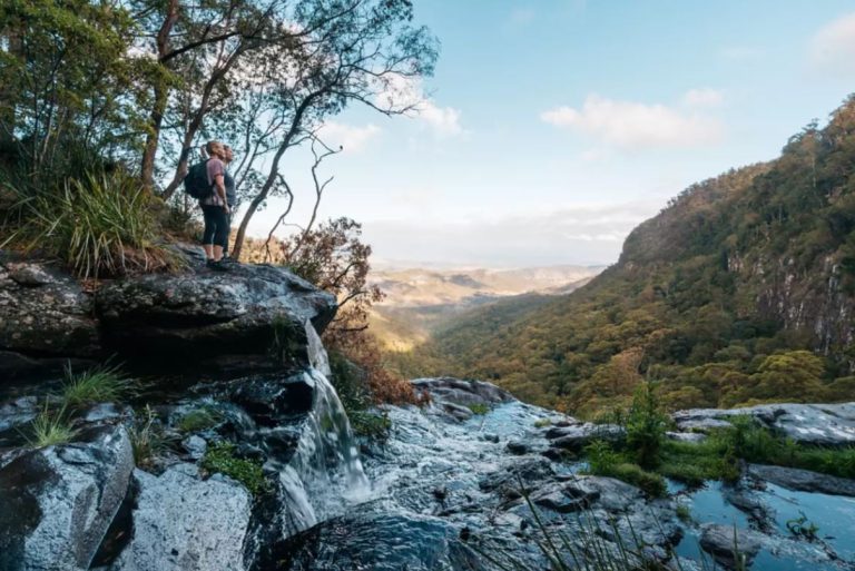 lamington national park camping near brisbane 1 - murphys creek escape