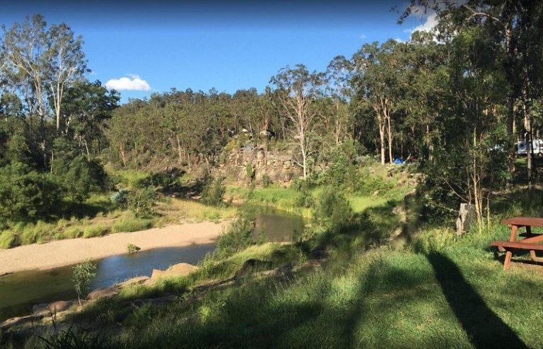 places to camp with dogs near Toowoomba