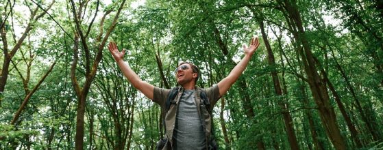 forest-bathing-benefits-murphys-creek-escape