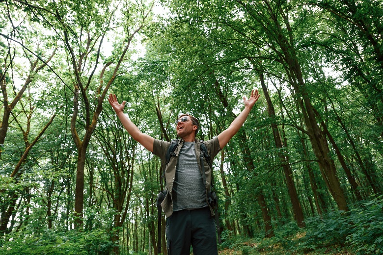 Forest Bathing: The Benefits of Immersing Yourself in Nature