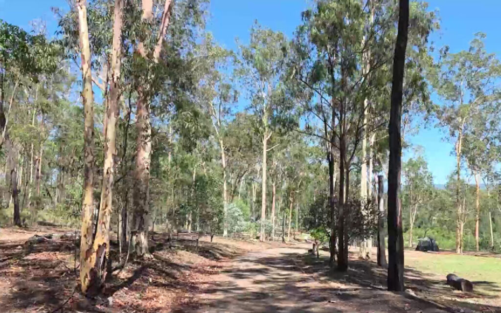 Bushland Walk Murphys Creek Escape