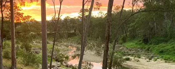 Murphy's Creek Escape