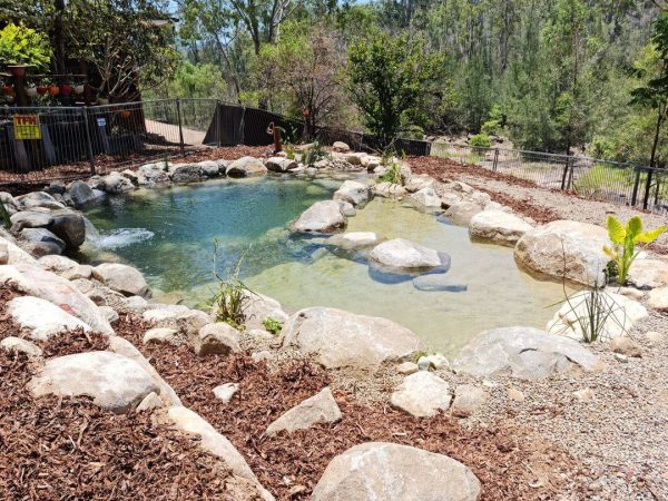 murphys-creek-eco-billabong-camping-1-600x450
