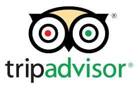 Tripadvisor Reviews