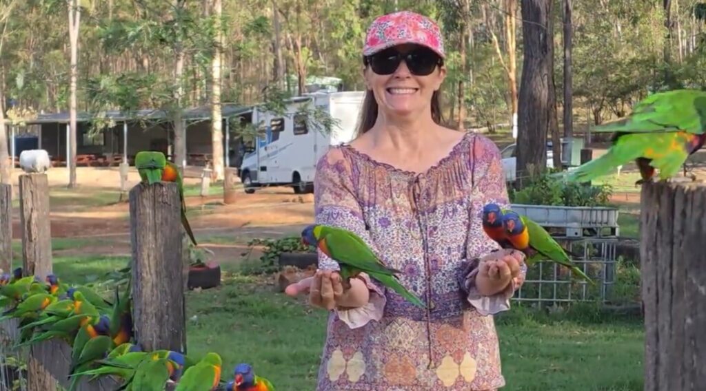 Bird Feeding At Murphys Creek Escape Campground
