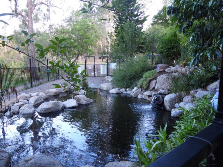 Update Of Eco Pool At Murphys Creek Escape 2026