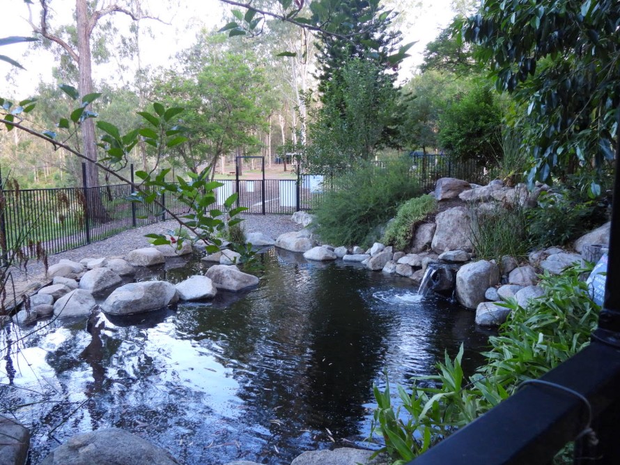 Update Of Eco Pool At Murphys Creek Escape 2026