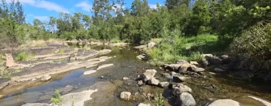 Why Camping Is The Perfect Digital Detox For Families This Summer Murphys Creek