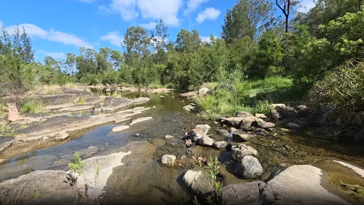 Why Camping Is the Perfect Digital Detox for Families This Summer