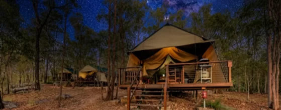 Why Camping Feels Different At Night