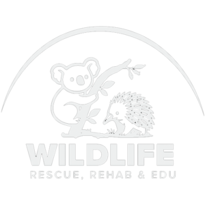 Wildlife Rescue Rehab Edu Logo
