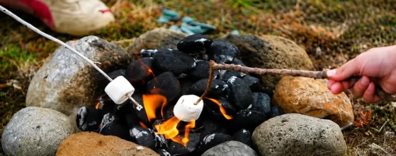 Winter Camping Toasting Marshmallows